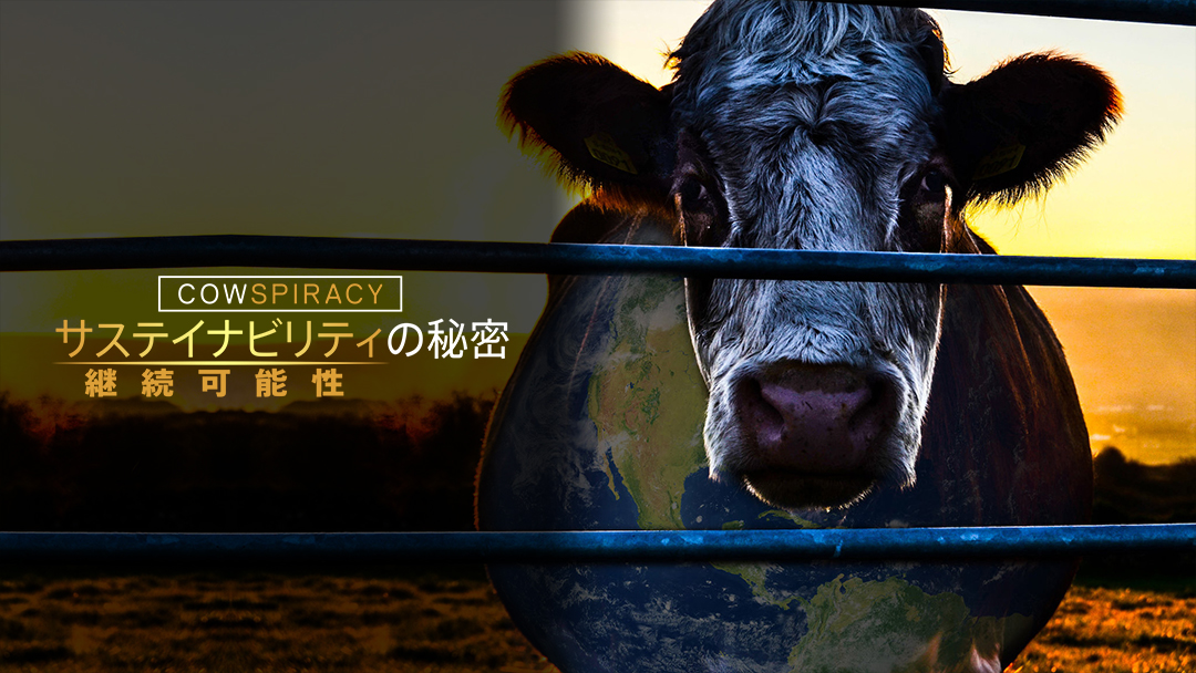 サステナビリティの秘密 継続可能性